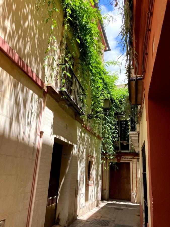 Apartament Acogedor 8pax 4bdr 2bth - Cozyhomesevilla1 Sewilla